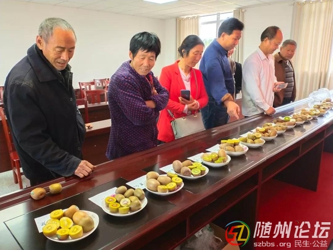 萬(wàn)和鎮(zhèn)召開(kāi)獼猴桃種植戶交流會(huì)